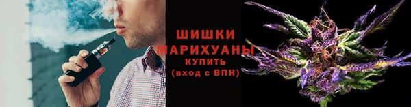 прущие грибы Киренск