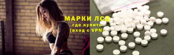 прущие грибы Киренск