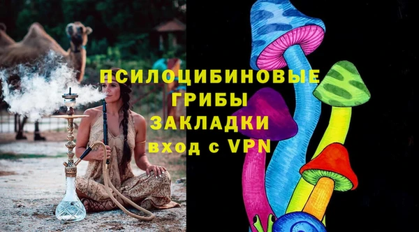 прущие грибы Киренск
