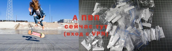 прущие грибы Киренск