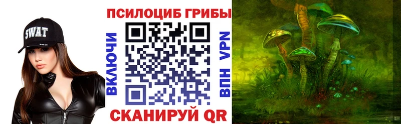 Псилоцибиновые грибы GOLDEN TEACHER  Купить закладки  Чита 